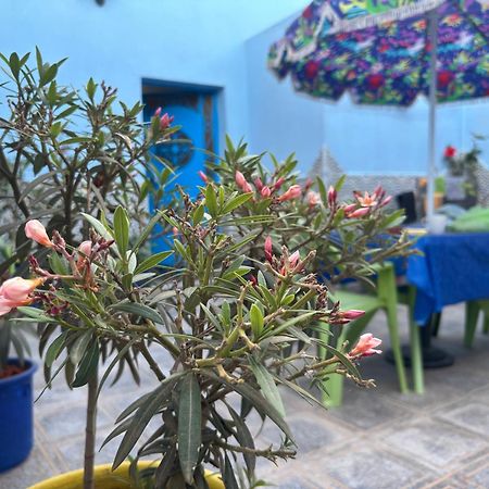 Casa Morisca Villa Sidi Ifni Eksteriør bilde