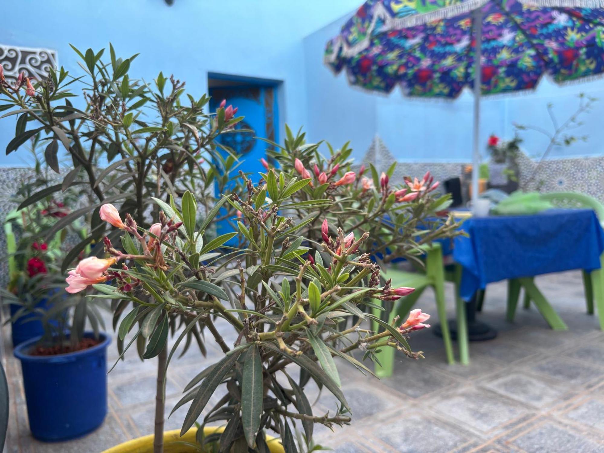 Casa Morisca Villa Sidi Ifni Eksteriør bilde