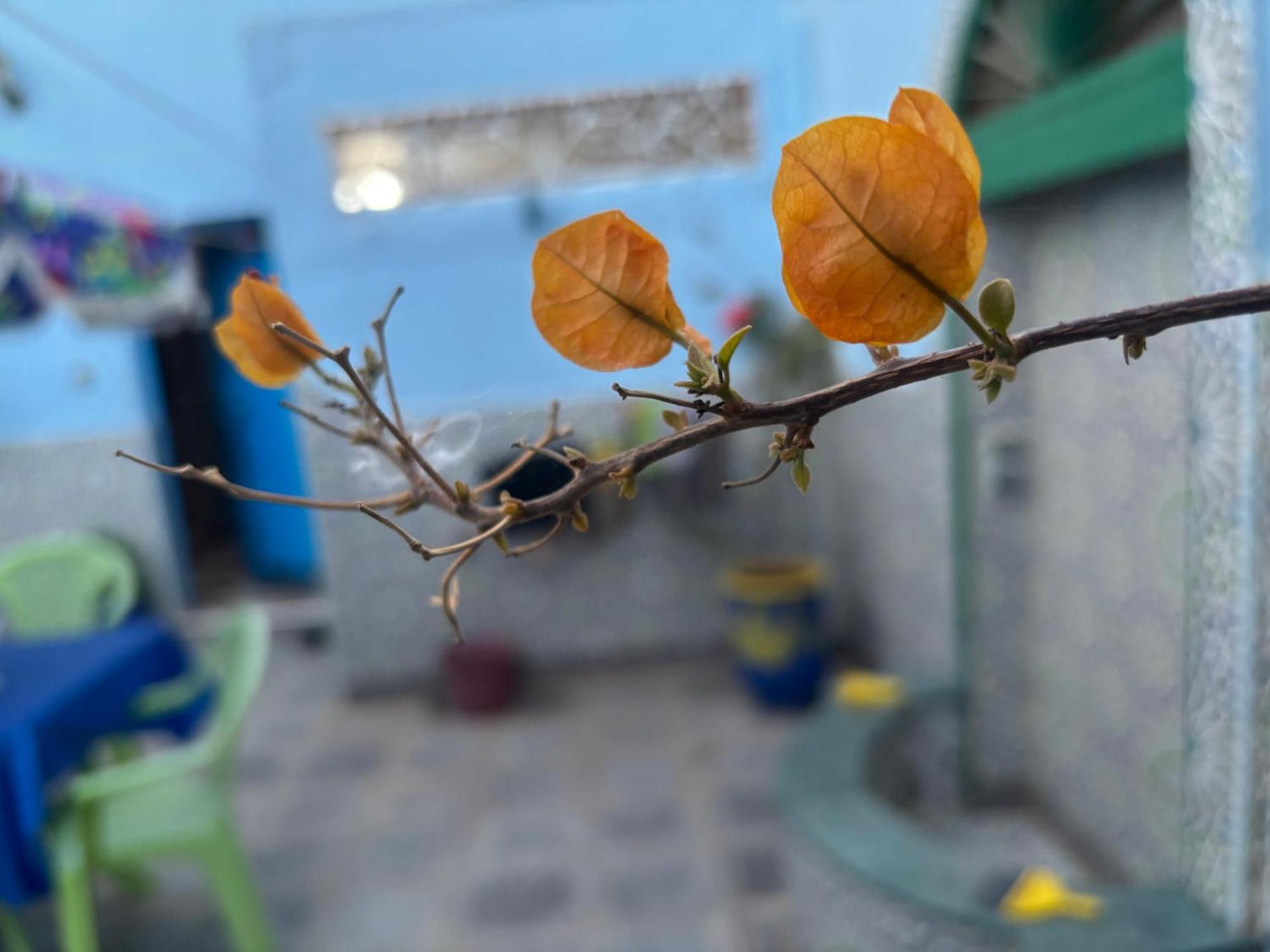 Casa Morisca Villa Sidi Ifni Eksteriør bilde