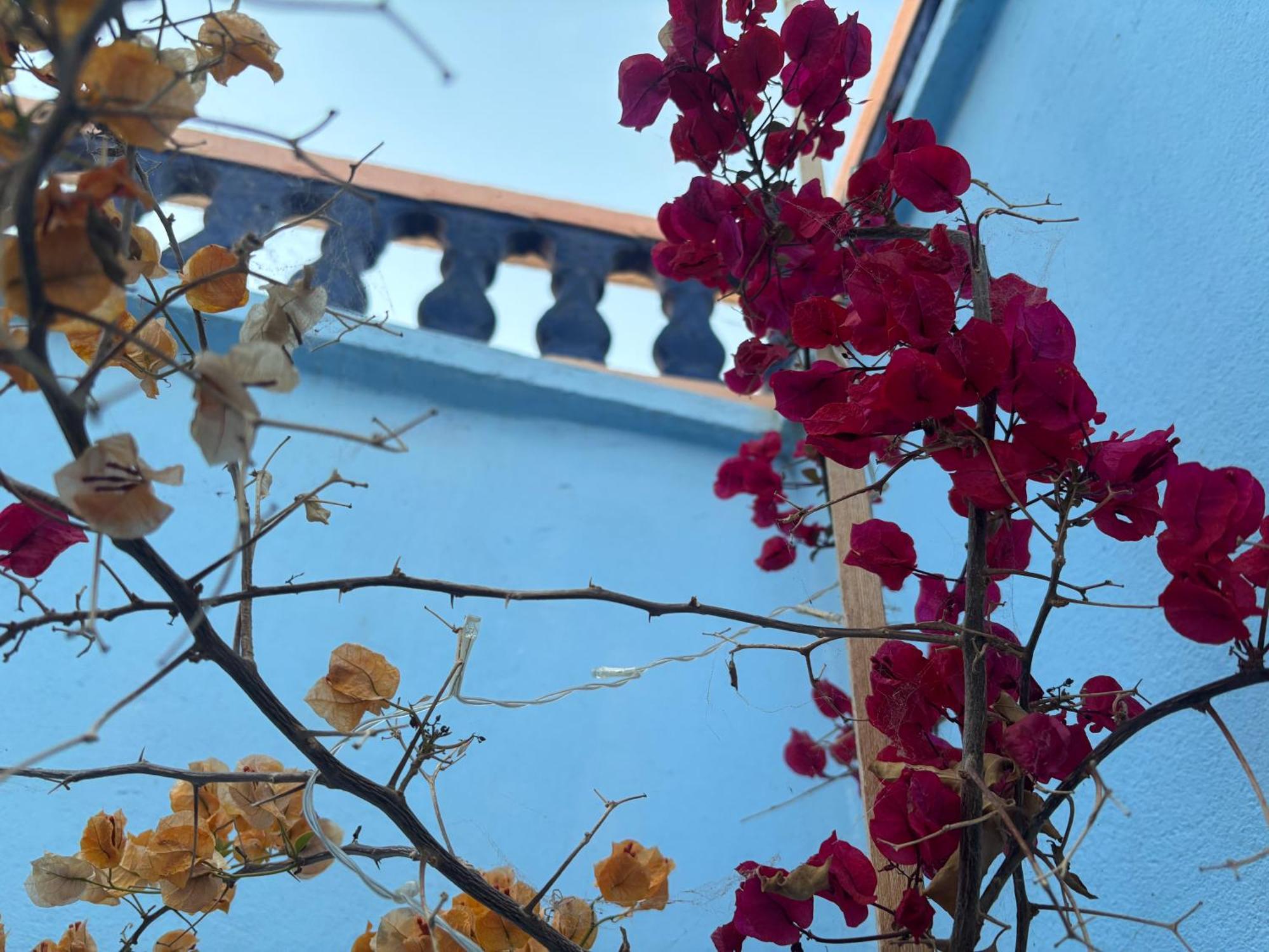 Casa Morisca Villa Sidi Ifni Eksteriør bilde
